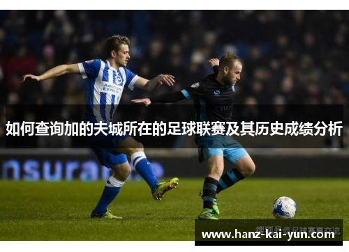 如何查询加的夫城所在的足球联赛及其历史成绩分析